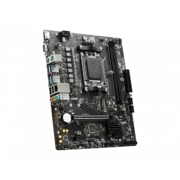Материнская плата MSI PRO A620M-E