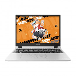 Ноутбук Colorfire Meow R16 Ryzen 7 H255 16GB 1024GB RTX5060