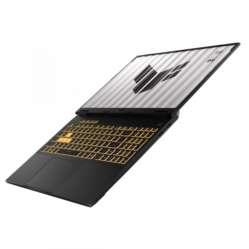 Игровой ноутбук ASUS TUF Gaming F16 (2025) FX608JM-RV049