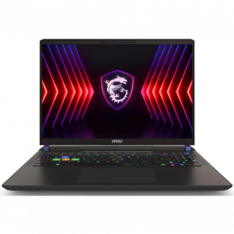 Ноутбук MSI Vector 16 HX A14VHG-810 (925)